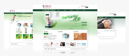 品牌网站建设 以创意网页设计铸就数字时代新名片